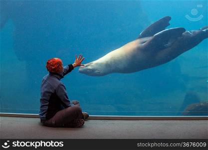 girl playing with sealion