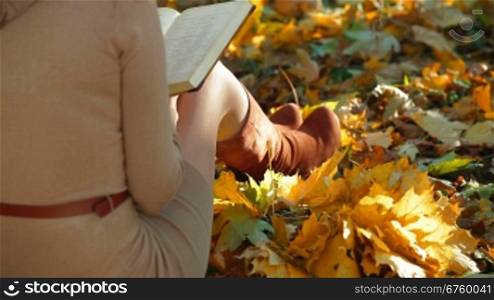 Girl reading lecture notes in the autumn park, face obscured