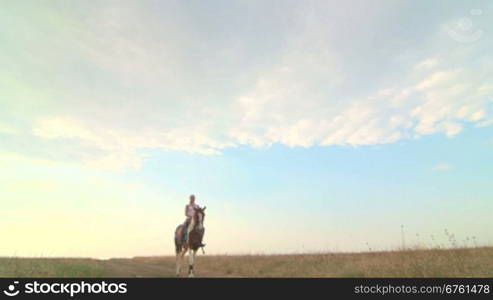 Girl rides a horse through the field