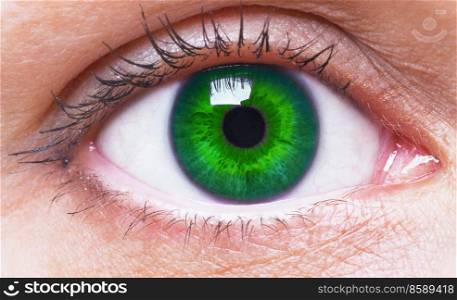 girl’s green eye close up
