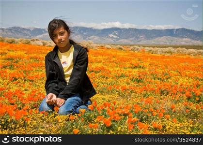 Girl Sitting In Poppy Field