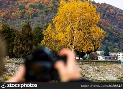 Girl taking photos of an autumn tree, autumn colors of a park in Orsova, Romania, 2020