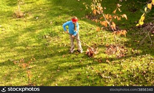 girl-teenager cleans leaves in a garden.