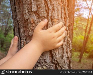 girl touching tree in the forest in spring