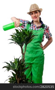 Girl watering plants on white