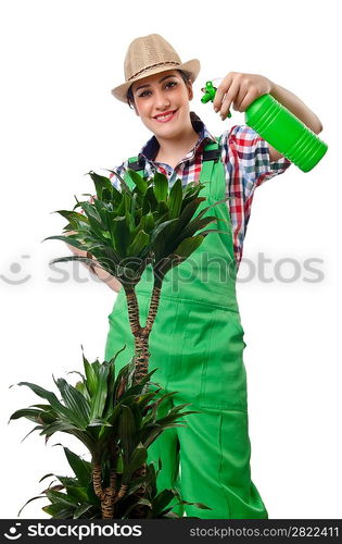 Girl watering plants on white