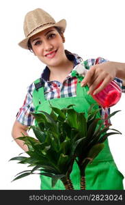 Girl watering plants on white