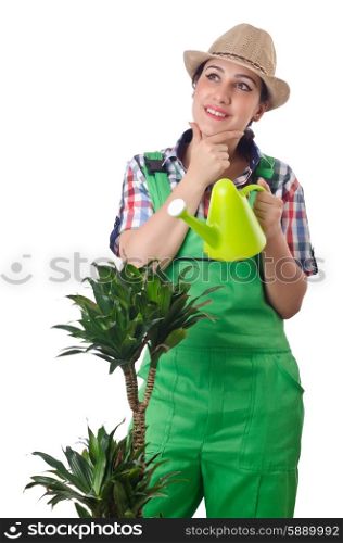 Girl watering plants on white