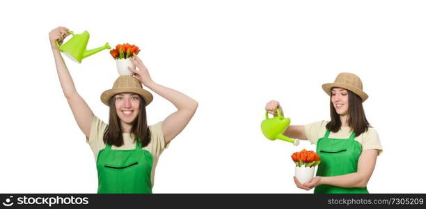 Girl watering plants on white