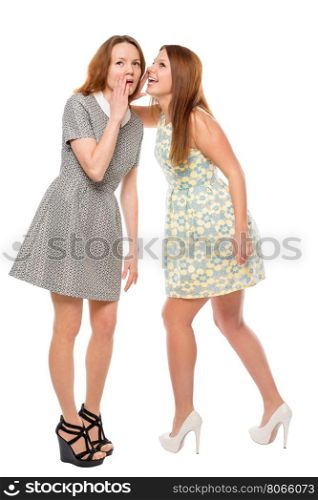 Girl whispering a secret to her friend on the white background isolated