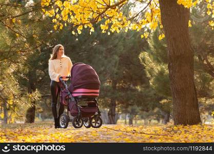 Girl with a stroller with a newborn baby walks in a beautiful park