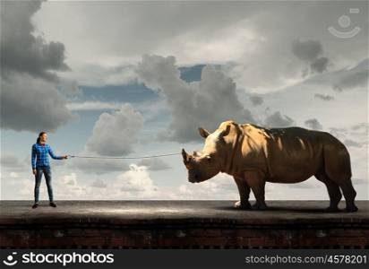 Girl with kangaroo. Young woman in casual holding rhino on lead