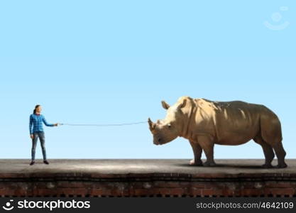 Girl with kangaroo. Young woman in casual holding rhino on lead