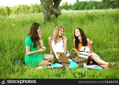 girlfriends on picnic in green grass