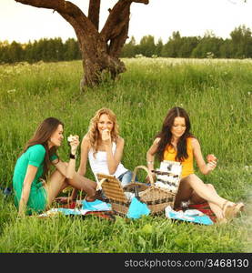 girlfriends on picnic in green grass