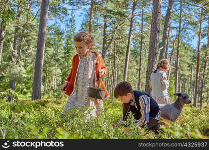 Girls and boy dressed in retro clothing picking berries in forest