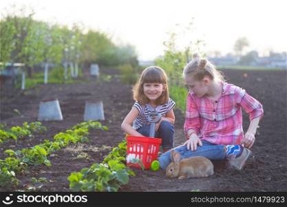 girls and rabbits in the garden. happy childhood in the village