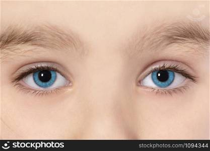 Girls blue eyes close up. Blue eyes of beautiful young child girl macro photo.. Blue eyes of beautiful young child girl macro photo.