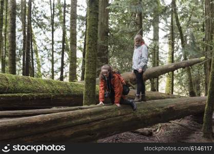 Girls climbing on a log in forest, Cathedral Grove, Vancouver Island, British Columbia, Canada