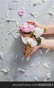 Girls hands hold sweet wafer cones with gentle pink and white flowers peony, petals of flowers on a stone gray background , copy space, Top view. Concept of congratulations for Mothers Day.. Decorative card og summer flowers - fresh tender pink and white peony in a wafer cones with female hands above a gray table.