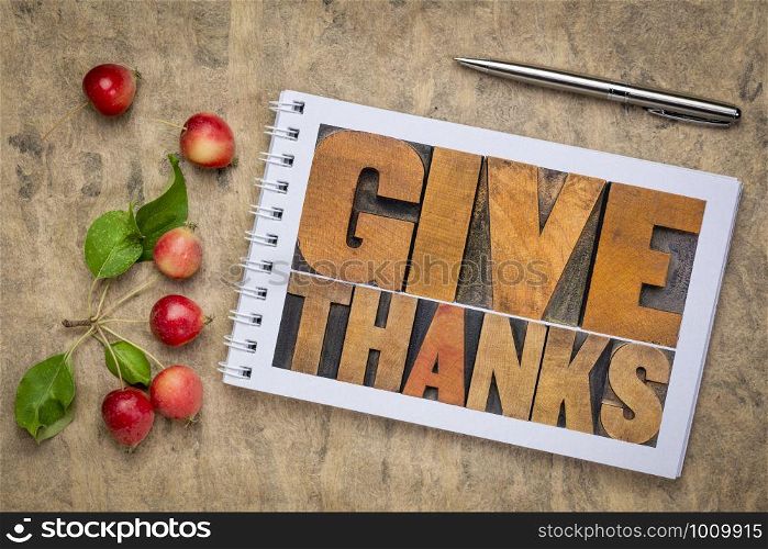 give thanks - Thanksgiving concept - word abstract in letterpress wood type in a sketchbook with crab apples