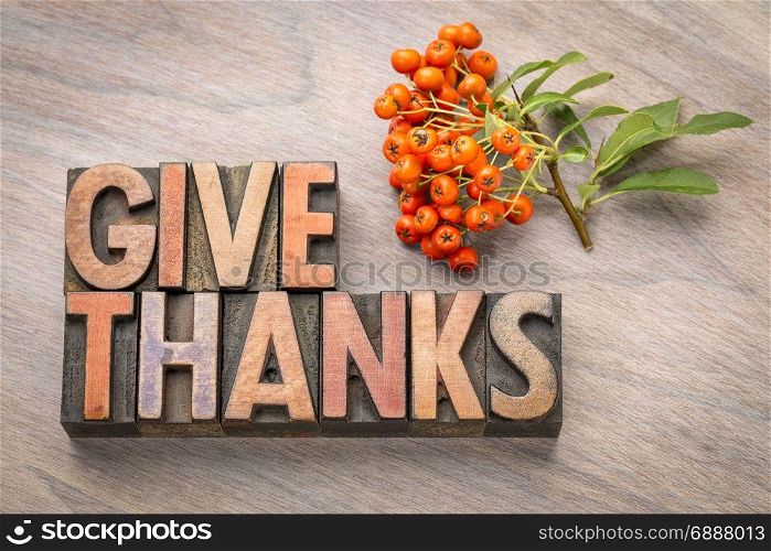 give thanks - Thanksgiving concept - word abstract in vintage letterpress wood type printing blocks with firethorn berries