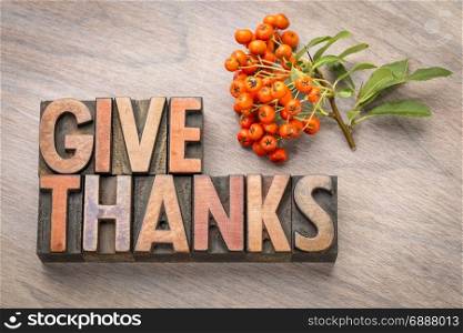 give thanks - Thanksgiving concept - word abstract in vintage letterpress wood type printing blocks with firethorn berries