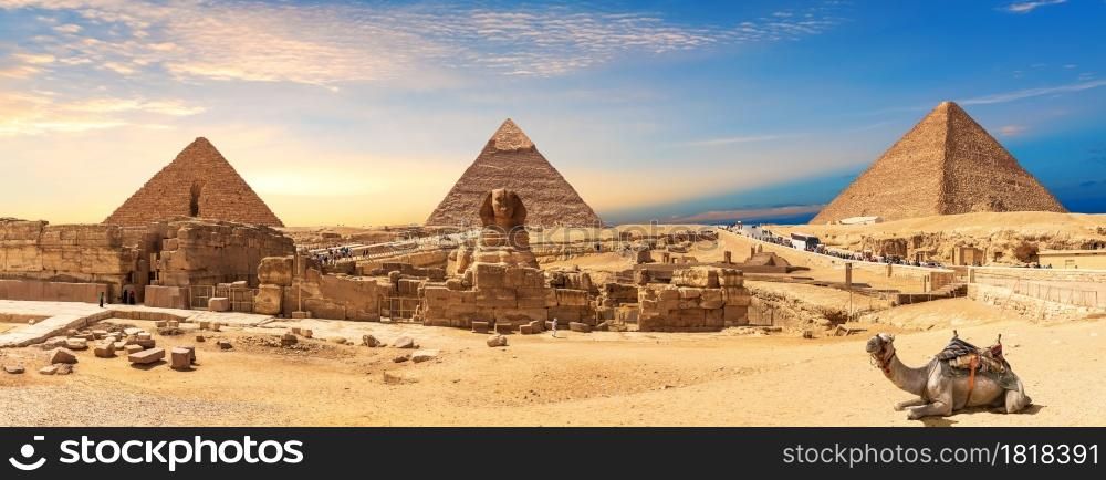 Giza Pyramids and Sphinx panorama with a camel lying by, Cairo, Egypt.