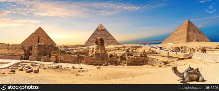 Giza Pyramids and Sphinx panorama with a camel lying by, Cairo, Egypt.