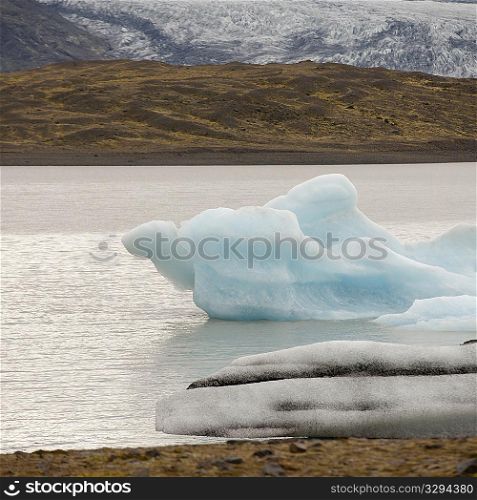 Glacier and iceberg in glacial lake