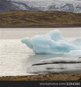 Glacier and iceberg in glacial lake