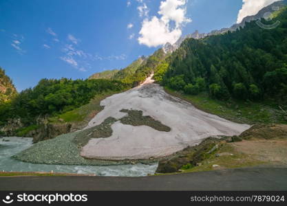 Glacier in forest