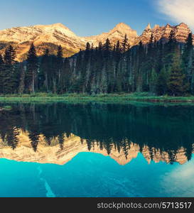 Glacier National Park, Montana.