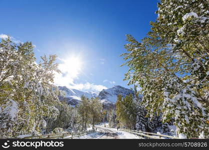 Glacier National Park, Montana.Winter.