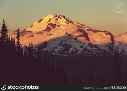 Glacier peak at sunrise,Washington,USA