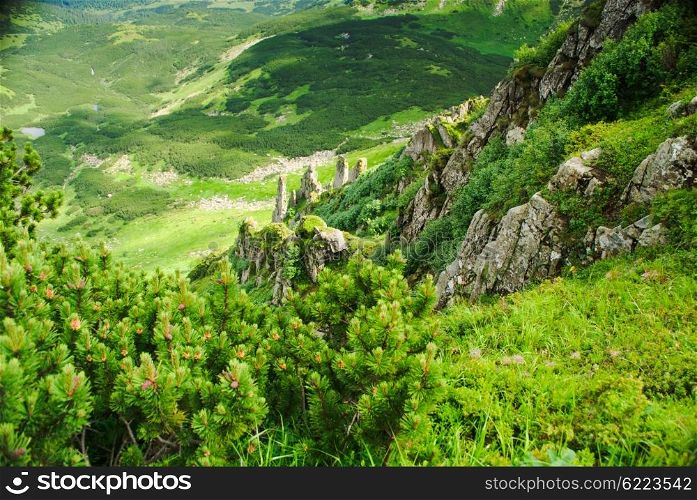 Glade and rocks high up in Carpathian mountains. Beautiful mountain landscape