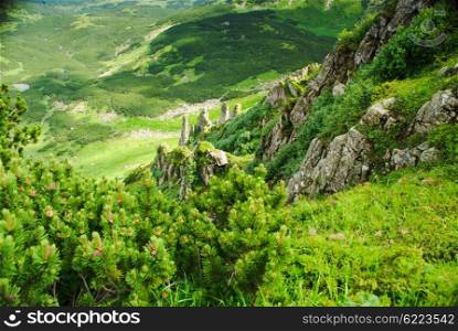 Glade and rocks high up in Carpathian mountains. Beautiful mountain landscape