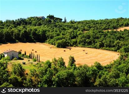 Glade With Many Hay Bales In Tuscany