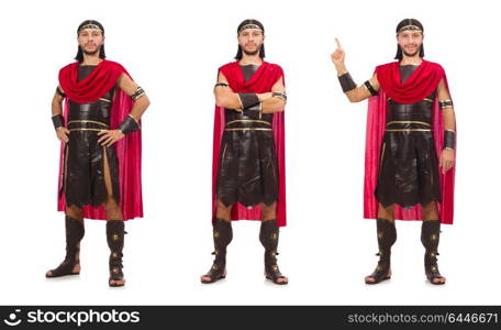 Gladiator isolated on white