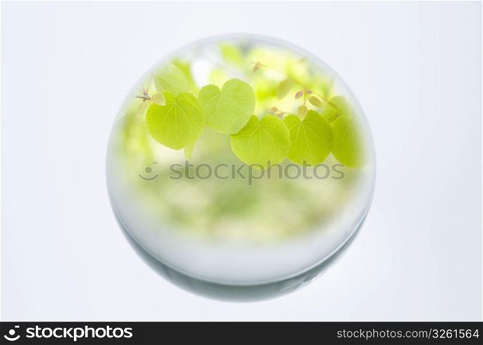 Glass ball