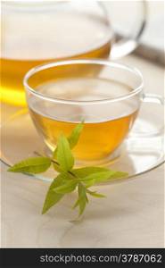 Glass cup of vervain tea