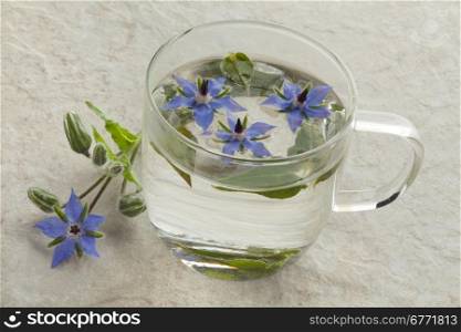 Glass cup with borage tea and flowers