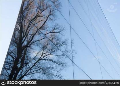 glass facade of modern office building with reflection of trees and blue sky