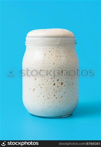 Glass jar full of sourdough starter, minimalist on a blue background. Fermented sourdough starter ready for baking