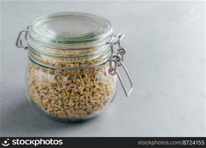 Glass jar of buckwheat sprouts against grey background. Vegetarian dish concept. Organic nutrition. Eco eating concept. Healthy food