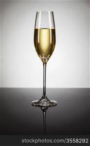 glass of champagne on a mirror with spot in background. glass of champagne