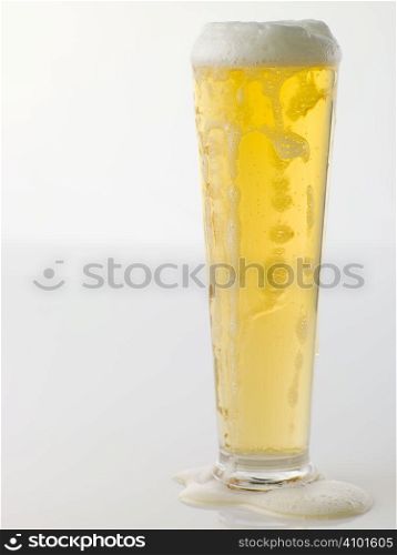 Glass Of Frothy Beer