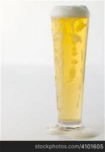 Glass Of Frothy Beer