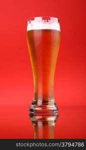 Glass of light beer over a bright red background