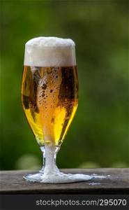 Glass of light beer with foam and bubbles on wooden table on green nature background. Beer is an alcoholic drink made from yeast-fermented malt flavoured with hops.   
